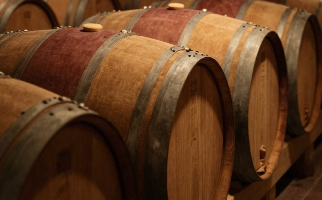 Barriques alignées dans un chai